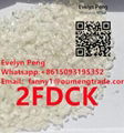 High quality E t i z o lam ,NEW-SGT, 2F-DCK, Eutylone , Whatsapp:+8615093195352