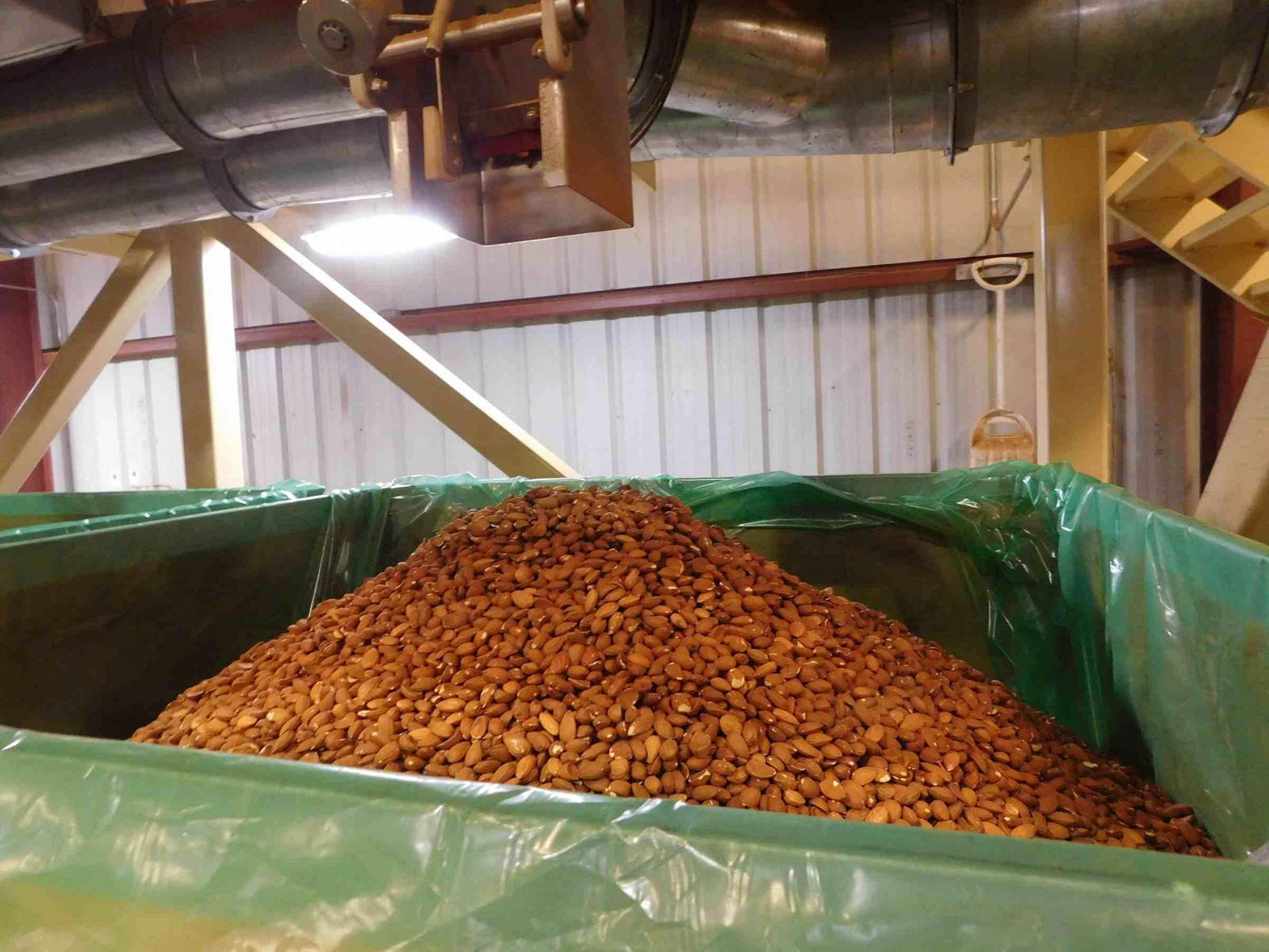 Advanced Almond inshell/Hazelnuts/Badam dehulling and separating equipment 3