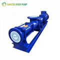 Progressive Cavity Single Screw Pump 1