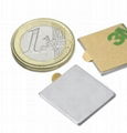 Square Neodymium Adhesive Magnets 20x20x1mm 1