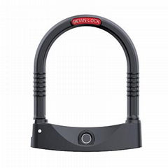 Smart Fingerprint and Code Ulock