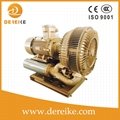 7.5HP Dereike Made in China Anti-Explosion Side Channl Ring Blower Centrifuge Bl 3