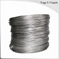 Titanium wire 