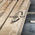 China manufacturer 45*90 LVL timber/H2S LVL board 1