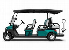 4+2 Seater Golf Cart