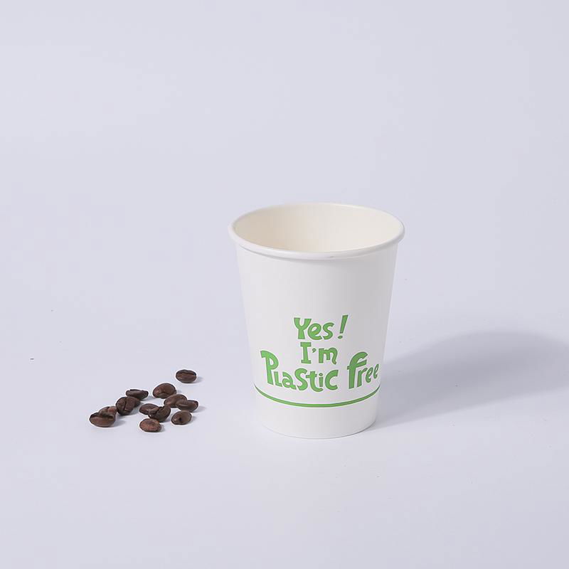 12oz Biodegradable Plastic Free Drinking Cup 2