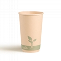 Bamboo Double Wall Cup