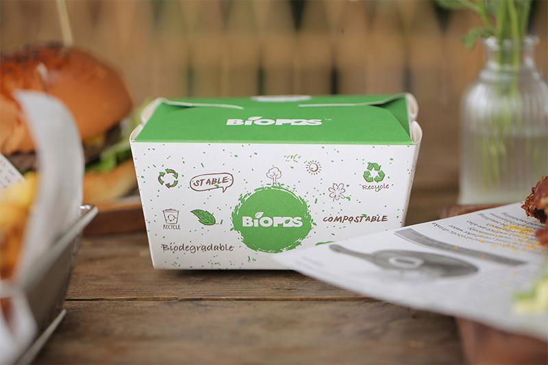 Biodegradable Lunch Box 3