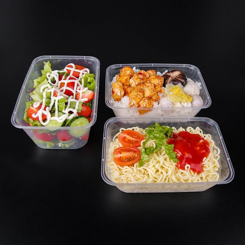 Disposable Food Container 2