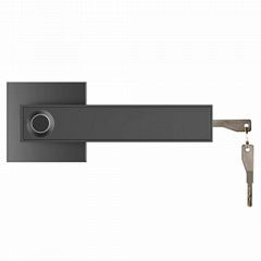 Indoor Wooden Door Fingerprint Door Lever Lock Electronic TTlock Smart Door Lock