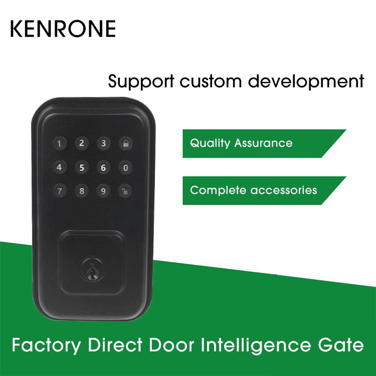 American Button Password Lock Smart Electronic Deadbolt Door Lock with Keyboard KRSDL169