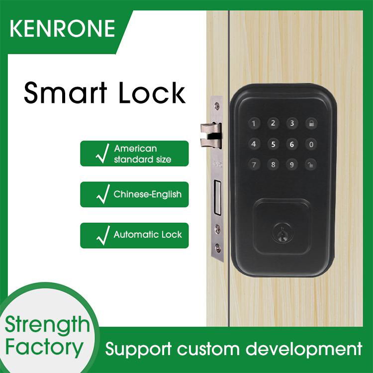 American Button Password Lock Smart Electronic Deadbolt Door Lock with Keyboard KRSDL169