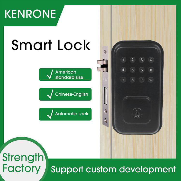 American Button Password Lock Smart Electronic Deadbolt Door Lock with Keyboard 5