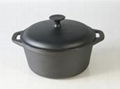 Cast Iron Vegetable Oil Casserole