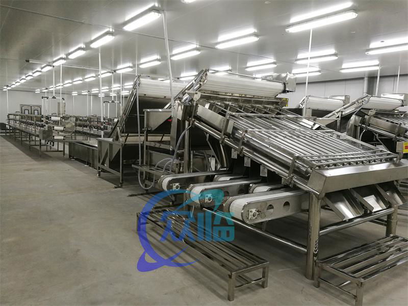 Shrimp Grading Machine with 12 Rollers     Shrimp Processing Line      2