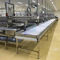 Shrimp Processing Line      China Seafood Processing Line   