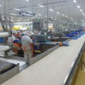 Shrimp Processing Line      China Seafood Processing Line    2