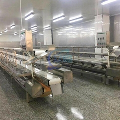 Commercial Fish Scaler Machine     Fish Processing Equipment Supplier