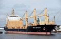 中南美和加勒比海散货船MANZANILLO/CALLAO/RIO HAINA/QUETZAL港散货船 1