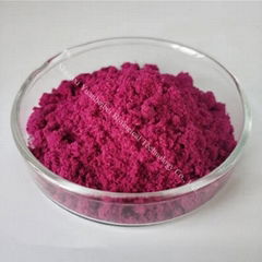 Bulk Natural Organic FD Freeze Dried Red Pitaya Dragon Fruit Powder Extract