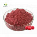 China Supply Bulk Natural Organic Freeze Dried Red Raspberry Extract Powder 2
