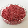 China Supply Bulk Natural Organic Freeze Dried Red Raspberry Extract Powder 3