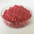 China Supply Bulk Natural Organic Freeze Dried Red Raspberry Extract Powder 4