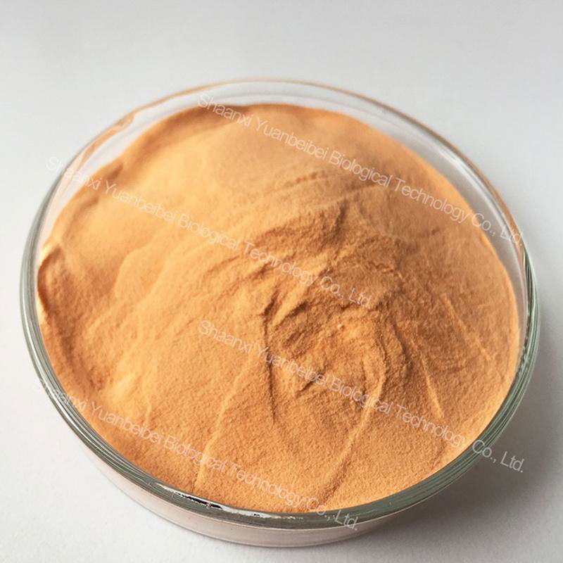 Bulk 100% Natural Organic Freeze Dried Carrot Extract Powder 3