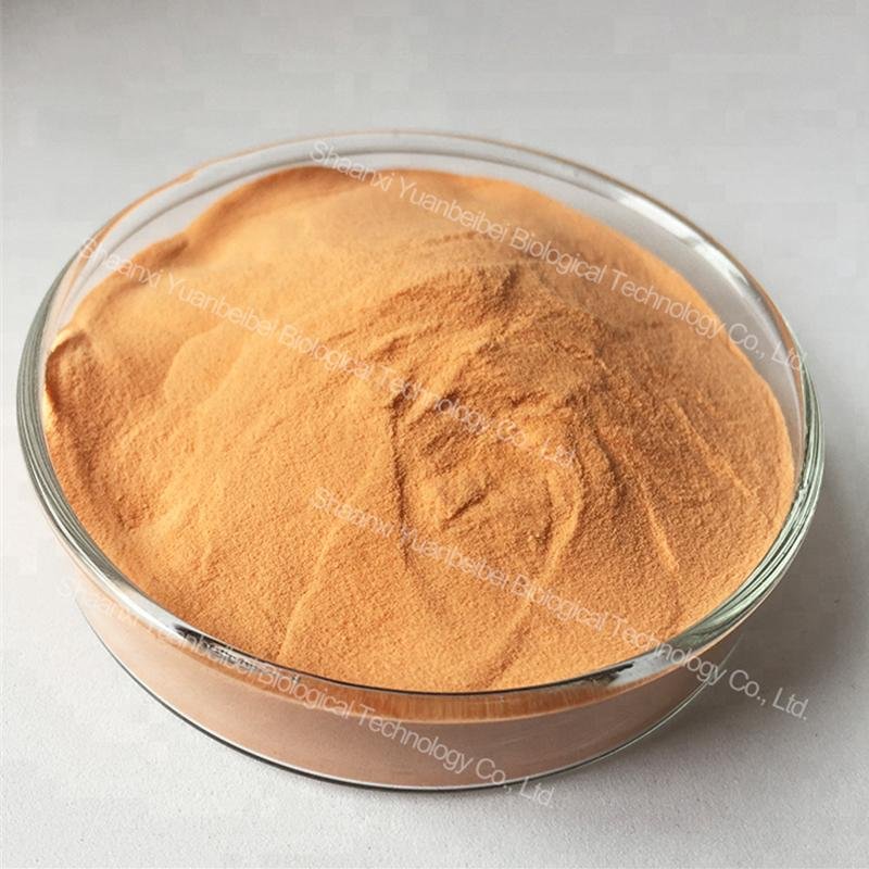 Bulk 100% Natural Organic Freeze Dried Carrot Extract Powder 4