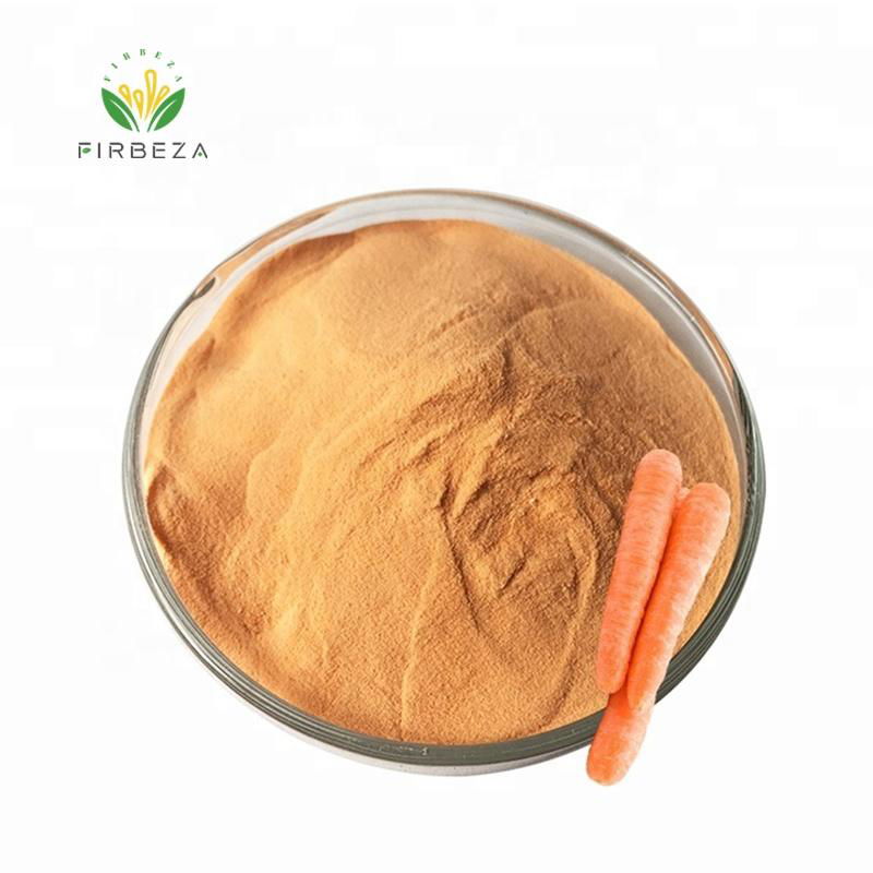 Bulk 100% Natural Organic Freeze Dried Carrot Extract Powder 2