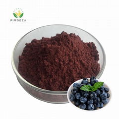 Bulk Natural Organic Freeze Dried Blueberry Powder