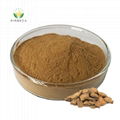 Bulk Rheum Officinale Rhubarb Root