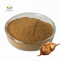 10:1 Polygonum Multiflorum Root Extract Powder