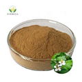 Natural Houttuynia Cordata Herba Houttuyniae Extract Powder