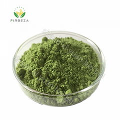 Manufacturer Supply Bulk 100% Pure Organic Ginseng Leaf Extract Powder