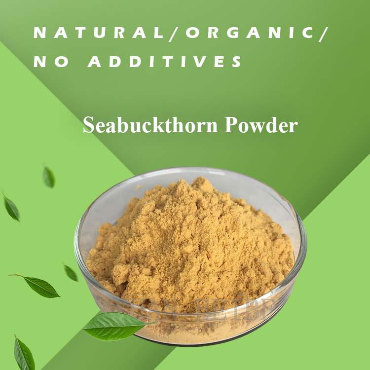 Dried Sea Buckthorn Fruit Powder Extract Organic Seabuckthorn Powder