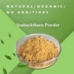 Dried Sea Buckthorn Fruit Powder Extract Organic Seabuckthorn Powder