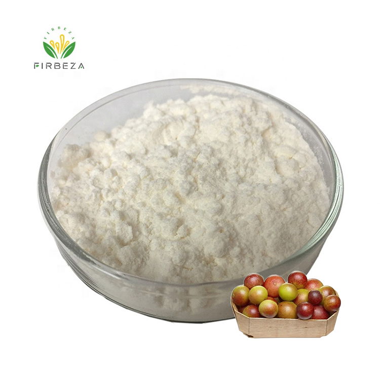 Wholesale 20:1 Camu Fruit Extract Powder