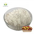 Wholesale 20:1 Camu Fruit Extract Powder 1