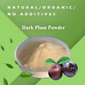 Wholesale 30:1 Dark Plum Extract Powder 1