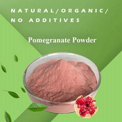 Bulk Natural 20:1 Pomegranate Extract Powder