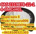CAS2319878-22-1 chemical product with low price 1