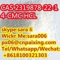 CAS2319878-22-1 chemical product with low price 2