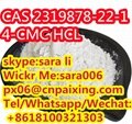 CAS2319878-22-1 chemical product with low price 3