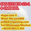 CAS2319878-22-1 chemical product with low price 4