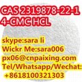 CAS2319878-22-1 chemical product with low price 5
