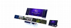 IP Based Video Wall Controller - DSII