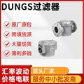 DUNGS冬斯过滤器GF40065/80/100/120/4等型号全 5