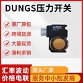 DUNGS冬斯压力开关GW500A4等型号齐全 1