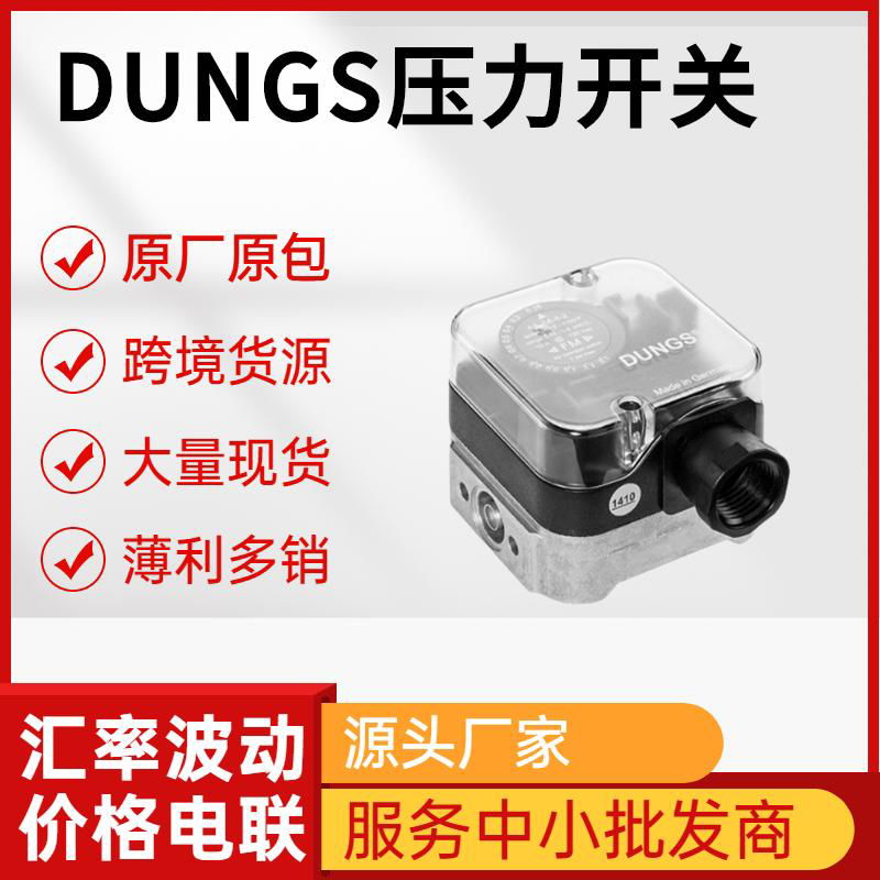 DUNGS冬斯壓力開關GW500A4等型號齊全 5